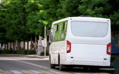 Veteran Transportation Services: How Houston Helps Our Heroes Get Around